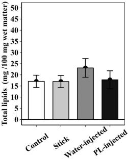 Fatty acid profile of Apis mellifera workers in the face of an immune challenge