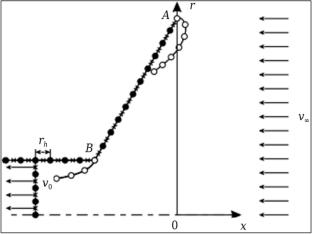 Determination of the Influence of Oncoming Flow on the Vortex Zones at the Inlet of the Suction Sockets. Part 2. Axisymmetric Problem