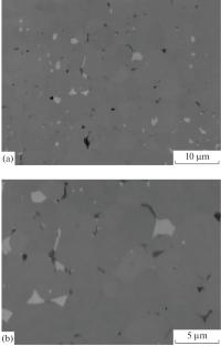 Chemical Stability of Ceramics Based on Y2.5Nd0.5Al5O12 Oxide with a Garnet Structure in Various Environments