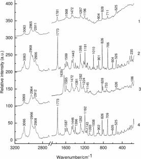 Study of the structure of 1,3-disubstituted thiacalix[4]arenes with phthalimide and imine groups using vibrational and NMR spectroscopy