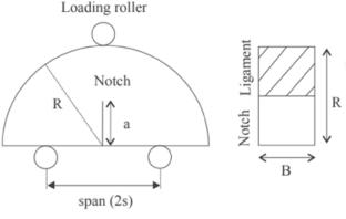 The effects of some environmental conditions on the mode I fracture toughness of rocks