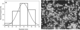 Characterization of L-cysteine methyl ester hydrochloride–stabilized gold nanoparticles