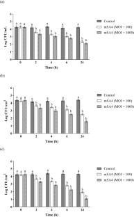 Staphylococcus aureus lytic bacteriophage: isolation and application evaluation