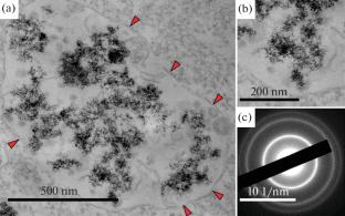 Identification of Detonation-Nanodiamond Particles and Detection of Their Localization in Human Macrophages and Mouse Lungs