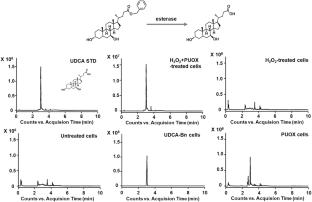 Bile acid-based polydrug nanoparticles for the treatment of acute liver injury