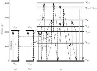 Preparation, Absorption Spectra, and Luminescence Properties of Er2O3- and Yb2O3-Doped Oxyfluoride Glasses in the SrF2–SiO2–B2O3–Bi2O3–ZnO–Y2O3 System