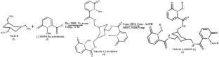 TMACH-1,2-HOPO, a versatile tripodal metal chelator: complexation, solution thermodynamics, spectroscopic and DFT studies