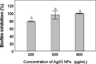 Biogenic Ag2O nanoparticles with “Hoja Santa” (Piper auritum) extract: characterization and biological capabilities