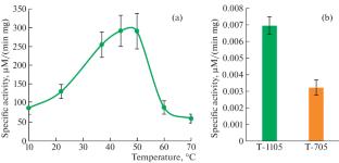 Preliminary X-ray Study of Crystals Obtained by Co-Crystallization of Hypoxanthine‒Guanine Phosphoribosyltransferase from Escherichia coli and Pyrazine-2-Carboxamide Derivatives