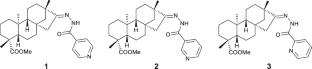 Exploring two distinct crystallization pathways of pyridinoyl-hydrazone derivatives of isosteviol: true and pseudosymmetric homochiral motifs