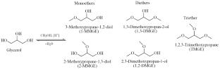 Synthesis of Methyl Glycerol Ethers over a Zeolite Catalyst in a Fixed-Bed Reactor