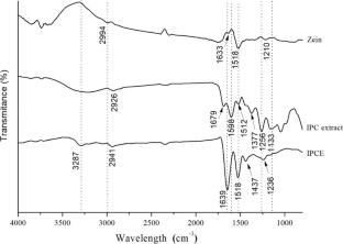 Does the Encapsulation of Chlorogenic Acids from Ilex paraguariensis Co-Product by Spray-Drying Increase Their Stability?