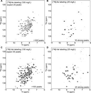 A comprehensive assessment of selective amino acid 15N-labeling in human embryonic kidney 293 cells for NMR spectroscopy