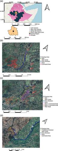 Livestock–irrigation interaction and its influence on the sustainability of small-scale irrigation schemes in Ethiopia