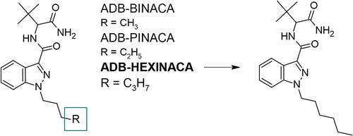 ADB-HEXINACA—a novel synthetic cannabinoid with a hexyl substituent: phase I metabolism in authentic urine samples, a case report and prevalence on the German market