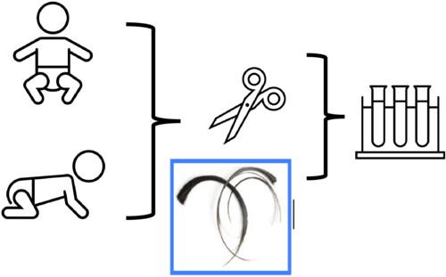 Abstract Image
