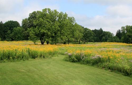 Wakehurst's North American Prairie
