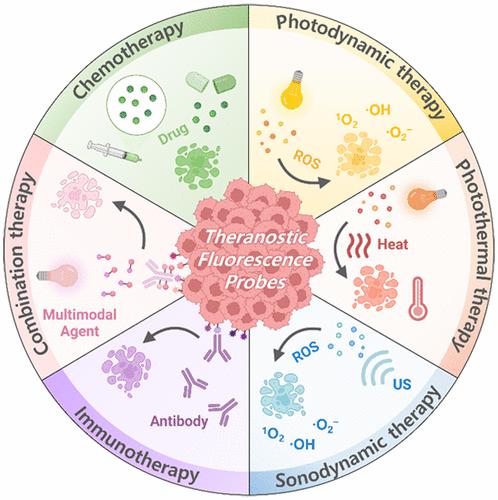 Theranostic Fluorescent Probes