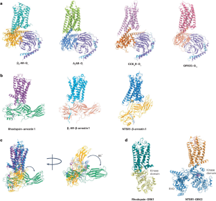 Cryo-electron microscopy for GPCR research and drug discovery in endocrinology and metabolism