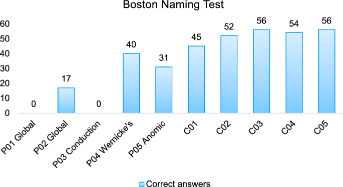 The role of cognitive control and naming in aphasia.