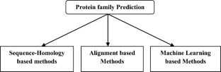 A Comprehensive Review on Machine Learning Techniques for Protein Family Prediction.