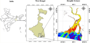 Assessment of Water Quality Parameters in the Hooghly Estuary, India, Using Sentinel-3 and Global Biogeochemical Analysis and Forecasts Products