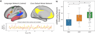 Silence Practice Modulates the Resting State Functional Connectivity of Language Network with Default Mode and Dorsal Attention Networks in Long-Term Meditators