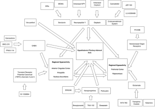 A Neuroanatomic and Pathophysiologic Framework for Novel Pharmacological Approaches to the Treatment of Post-traumatic Stress Disorder.