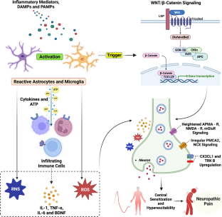 Pharmacological and Non-pharmacological Approaches for the Management of Neuropathic Pain in Multiple Sclerosis.