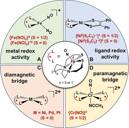 Development of (NO)Fe(N2S2) as a Metallodithiolate Spin Probe Ligand: A Case Study Approach