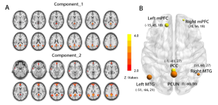 Neuroticism and openness exhibit an anti-correlation pattern to dissociable default mode network: using resting connectivity and structural equation modeling analysis.