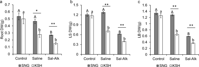 Potassium transporter OsHAK17 may contribute to saline-alkaline tolerant mechanisms in rice (Oryza sativa).