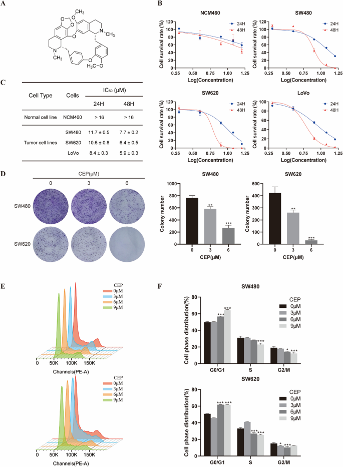 Cepharanthine suppresses APC-mutant colorectal cancers by down-regulating the expression of β-catenin