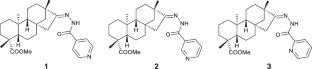 Exploring two distinct crystallization pathways of pyridinoyl-hydrazone derivatives of isosteviol: true and pseudosymmetric homochiral motifs