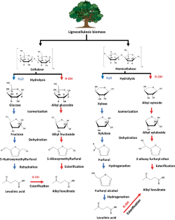 Dual-Acidity Catalysts for Alkyl Levulinate Synthesis from Biomass Carbohydrates: A Review