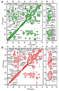 Reconstitution and resonance assignments of yeast OST subunit Ost4 and its critical mutant Ost4V23D in liposomes by solid-state NMR.