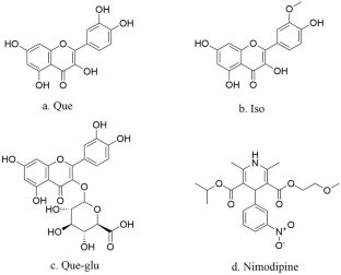 Simple preparation and greatly improved oral bioavailability: The supersaturated drug delivery system of quercetin based on PVP K30.