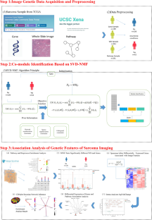 Singular Value Decomposition-Driven Non-negative Matrix Factorization with Application to Identify the Association Patterns of Sarcoma Recurrence.