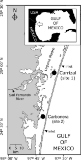 Univariate and Multivariate Analyses of Metals in Water, Sediment, and Shrimp (Penaeus aztecus) from a Fishing Zone in Laguna Madre, Mexico