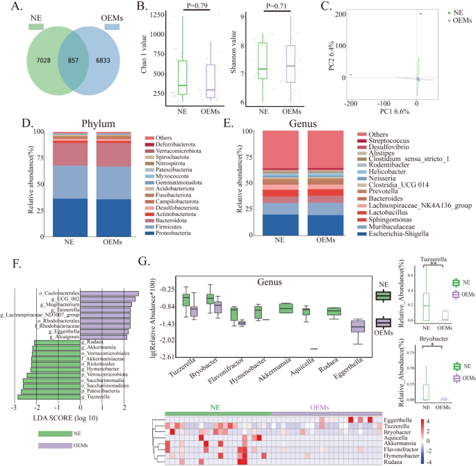 Disrupted Tuzzerella abundance and impaired L-glutamine levels induce Treg accumulation in ovarian endometriosis: a comprehensive multi-omics analysis.