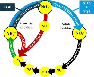 Challenges and Operational Strategies to Achieve Partial Nitrification in Biological Wastewater Treatment: A Review