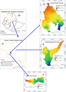 Spatio-Temporal Dynamics of Land Use and Land Cover, and Small-Scale Forest Expansion in Northwestern Ethiopian Highlands