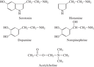 Impact of Neurotransmitters on Microalgae: Conceptual and Practical Implications