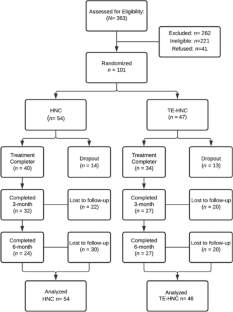 Mastery of Behavioral Parent Training Skills by Parents with Low Income: The Role of Mindful Attention