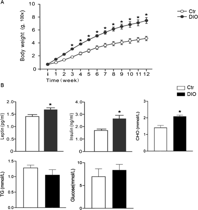 Enhanced NMDA receptor pathway and glutamate transmission in the hippocampal dentate gyrus mediate the spatial learning and memory impairment of obese rats.