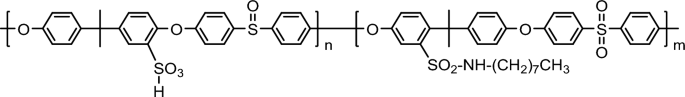 Incorporation of multilayered double hydroxides/sepiolite augments proton conductivity performance in low sulfonated polyether sulfone octyl sulfonamide