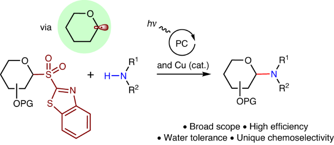 N-glycoside synthesis through combined copper- and photoredox-catalysed N-glycosylation of N-nucleophiles