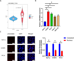 LINC00665 promotes glycolysis in lung adenocarcinoma cells via the let-7c-5p/HMMR axis.