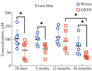 Evaluation of the State of the Blood-Retinal Barrier during the Development of Signs of Age-Related Macular Degeneration in OXYS Rats