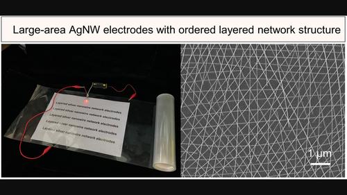 Multilayer ordered silver nanowire network films by self-driven climbing for large-area flexible optoelectronic devices